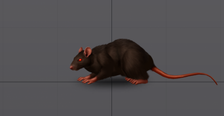 Rat